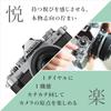 Nikon Mirrorless Camera Z fc Black 16-50 VR Lens Kit