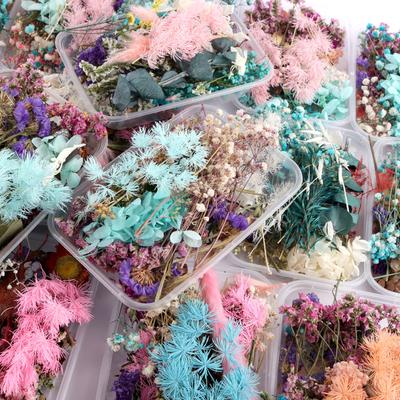 Schachteln Echte Trockenblumen Epoxidharz Trockenpflanzen Anhänger Für Aromatherapie Kerze Halskette Schmuckherstellung Basteln DIY Zubehör