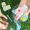 Spring DIY Transparent Flower Lamination Film: Upgraded Tassel Dried Flower Bookmark Kit