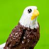 4Pcs Mini Eagle Figurines Miniature Resin Animal Ornaments Mini Bald Eagle Collectibles for DIY Craft Accessories Fairy Garden Decoration