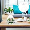 2-piece transparent angel vase set, decorative plant vase