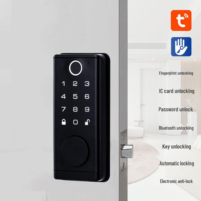 Smart WiFi Graffiti Lock: Electronic Deadbolt for Wooden Doors with Fingerprint, Key Card, and Password Access
