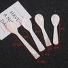 Ice Cream Conch Natural Stirring Tool Teaspoon Caviar Spoons Coffee Scoop