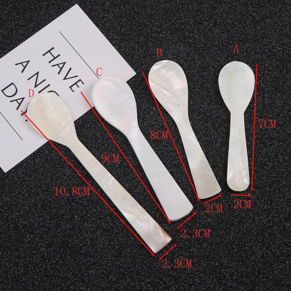 Ice Cream Conch Natural Stirring Tool Teaspoon Caviar Spoons Coffee Scoop