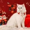 Chinese Style Spring Festival Lion Dance Cat Tie Adjustable Handmade New Year Pet Collar Warm Blessing Cat Knitting Scarf Autumn