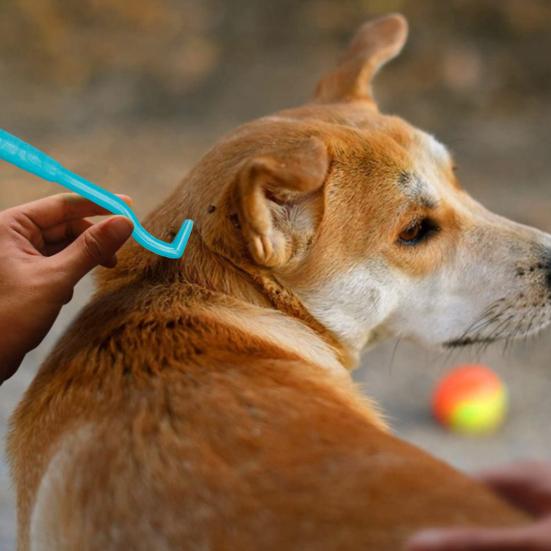 3 szt. Środek do usuwania pcheł domowych Skuteczny środek do usuwania kleszczy dla zwierząt Hak Bezpieczna pielęgnacja zwierząt Narzędzia do usuwania kleszczy Artykuły dla zwierząt