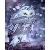 DIY Owl 5D Diamond Painting Full Square Round Drill Animal Diamond Embroidery Mosaic Eagle Cross Stitch Art Wall Home Decor Gift