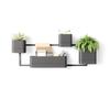 Umbra Cubico Wall Black [Official] Planter,