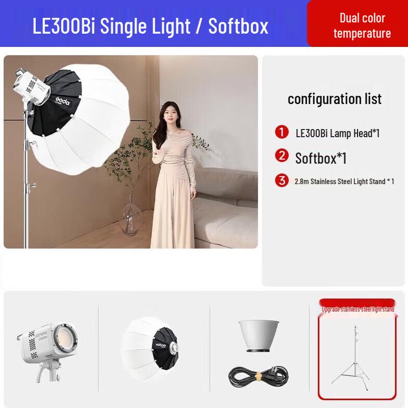 Godox LE300Bi Bi-color LED Continuous Photography Light Kit