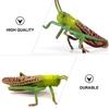 2Pcs Cartoon Locust Statue Vivid Animal Toys Creative Locust Animal Model  Garden