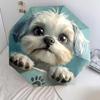 Shih Tzu pattern, automatic folding umbrella, portable and foldable design, 8 ribs, a Christmas or birthday gift.