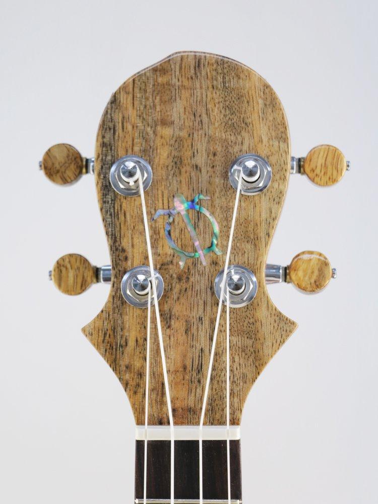 Ukulele Big Island HONU Serie Mango Hawaiano Ukulele da Concerto U-MO-CTS