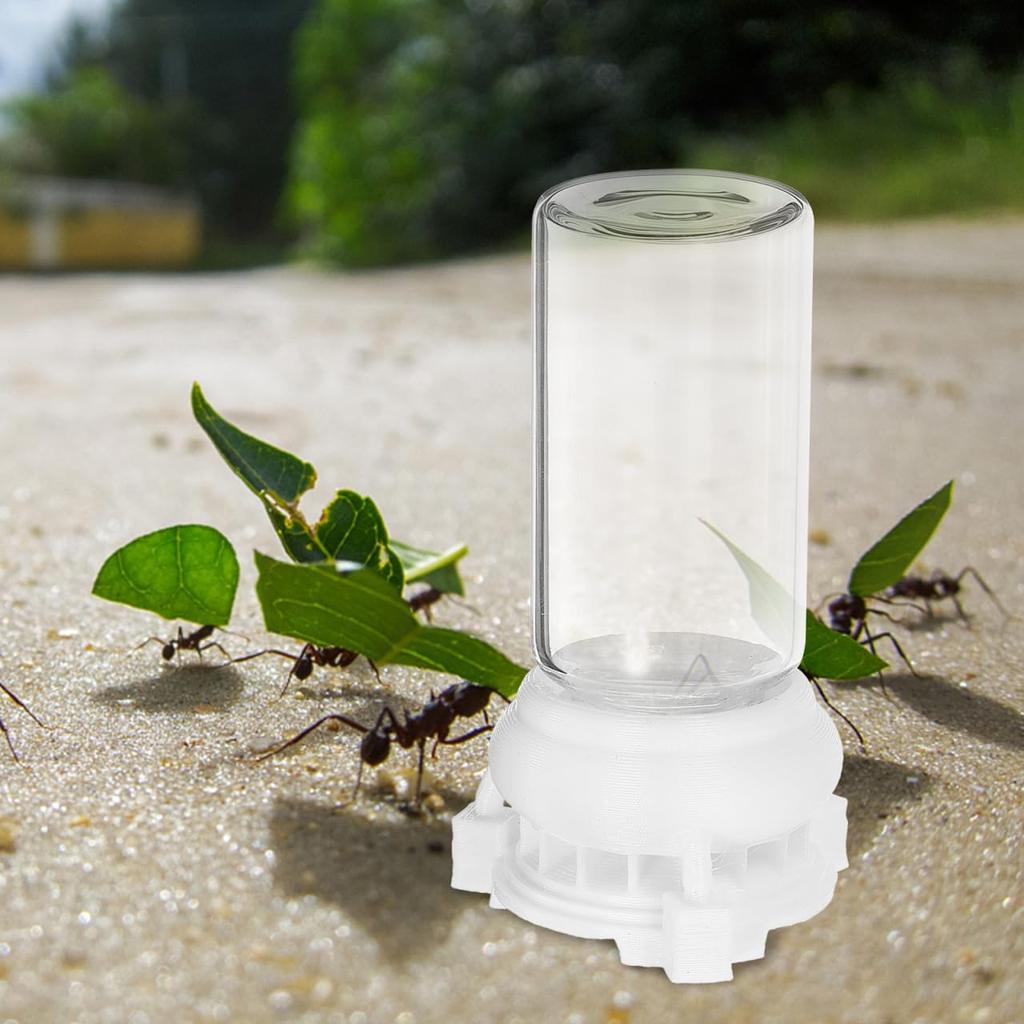 2 Pcs Transparent Ant Feeding Boxes for Indoor Use Ant Feeding Containers with Ant Ideal Ant Feeder Station