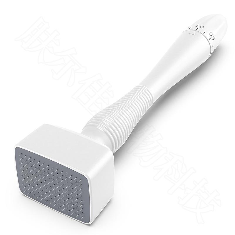 Press-Type Adjustable Microneedle Roller for Hydrating and Hair Growth - DRS140A Stamp Beauty Device