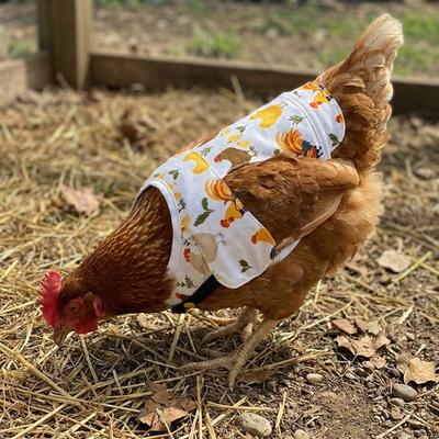 Elastic Chicken Saddle Adjustable Chicken Harness Vest Practical Hen Apron  Pet Clothes