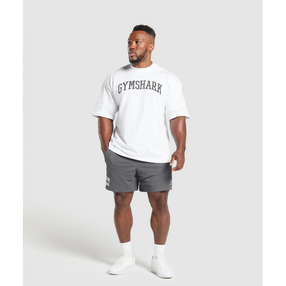 Gymshark Lifting Mesh 7  Shorts Pitch Grey A6a3o Gb7q