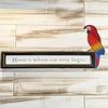 1 Coppia Decorazione Telaio Porta in Legno per Pappagalli Uccello Tropicale Colorato Topper per Porta Angolo Sopra Porta in Legno Arte Murale per Casa Bagno Camera da Letto Ufficio
