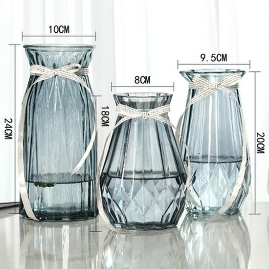 Nordic Transparent Glass Vase for Hydroponic Plants and Home Decoration