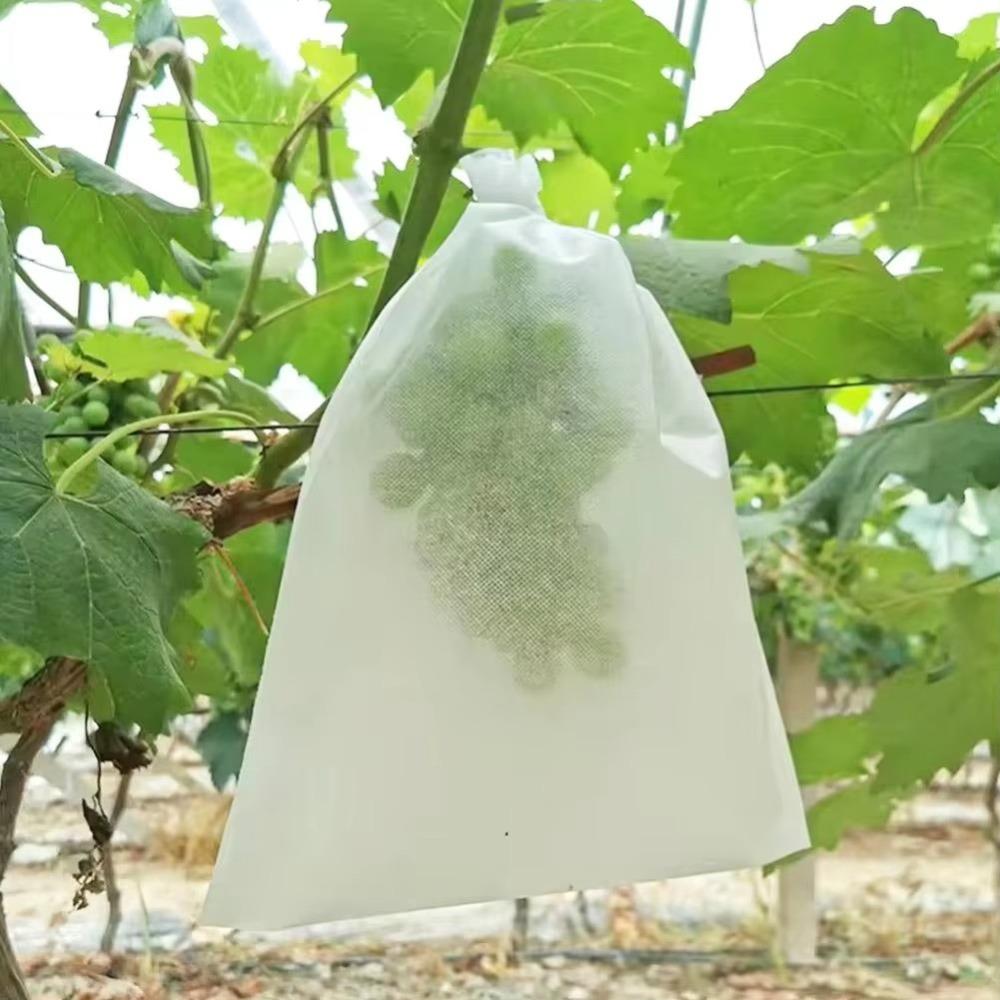 100pcs Breathable Grapes Fruit Grow Bags White Grape Protection Cover Plant Grow Bag  Garden Tools
