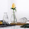 Nordic Transparent Glass Vase for Fresh or Dried Flowers – Mini Home Decoration Ornament