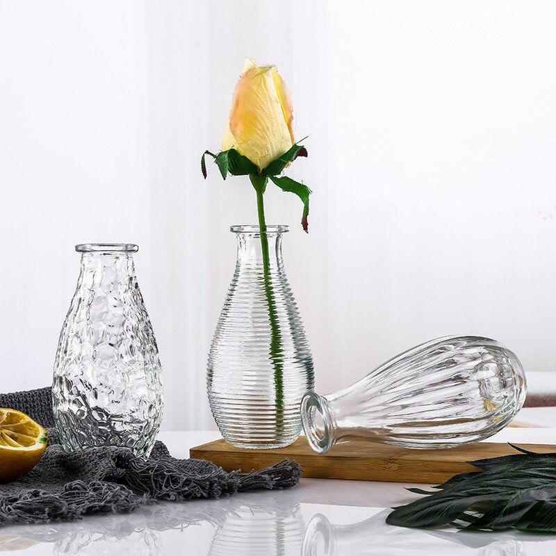 Nordic Transparent Glass Vase for Fresh or Dried Flowers – Mini Home Decoration Ornament