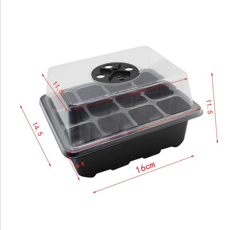 Gardening Seedling Tray Set: 6-Hole & 12-Hole Trays with Air Vents and Switchable Lids - 3 Pieces