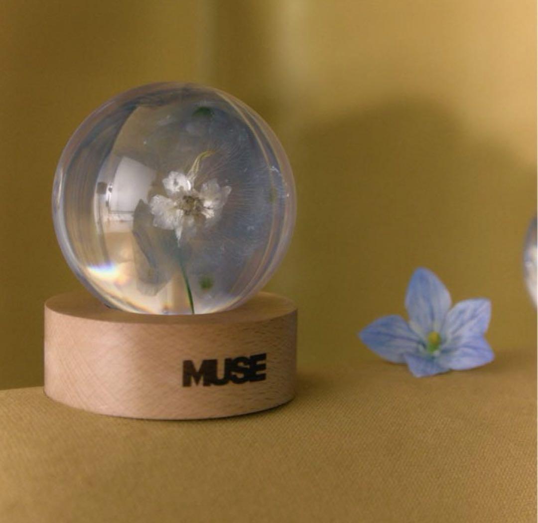 

[Б/У] JIMIN MUSE Пресс-папье