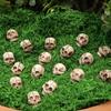 20Pcs Mini Skull Heads Mini Skull Halloween Figurines Halloween Gothic Skull Sculptures Prank Toys Halloween Decorations