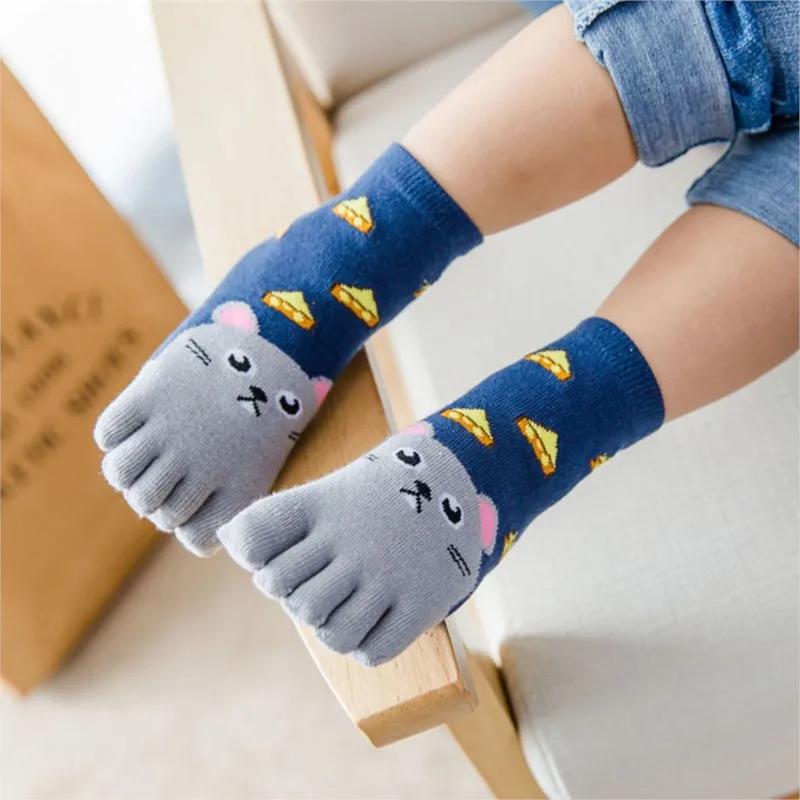 Kawaii Children Socks Cotton Animal Pattern Boys Girls Socks Toe Socks for Kids Five Finger Sock Winter Fall  New