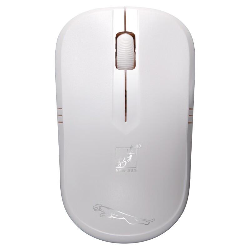 

Zhuiguangbao 101B Mini Wireless Mouse