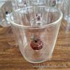 Thickened Heat-Resistant Three-Dimensional Glass Mug - Cute and Durable