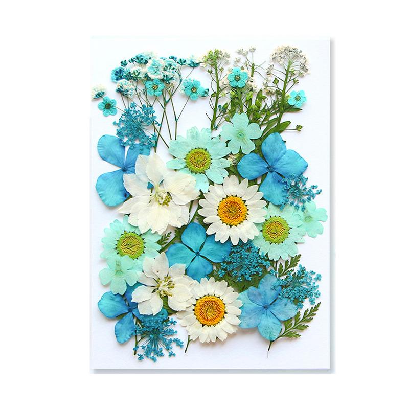 Dried Flowers Real Natural Plant Pressed Flower For Epoxy Resin Filling DIY Keychain Pendant Silicone Mold Jewelry Making Crafts