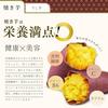 Large Capacity 1kg setKagoshima Prefecture Super valueAged Beni Haruka Dried Sweet Potato Defective Items 250g2 Bags Baked 500g1 bagTotal Popular