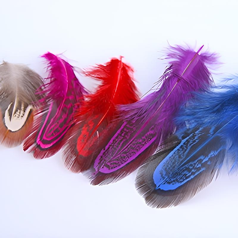4-7cm Ringneck Pheasant Feathers For Hats Mix Lot Crafts Small Plumas Bulk Colored Decoration Chicken Flower Dreamcatcher 50pcs