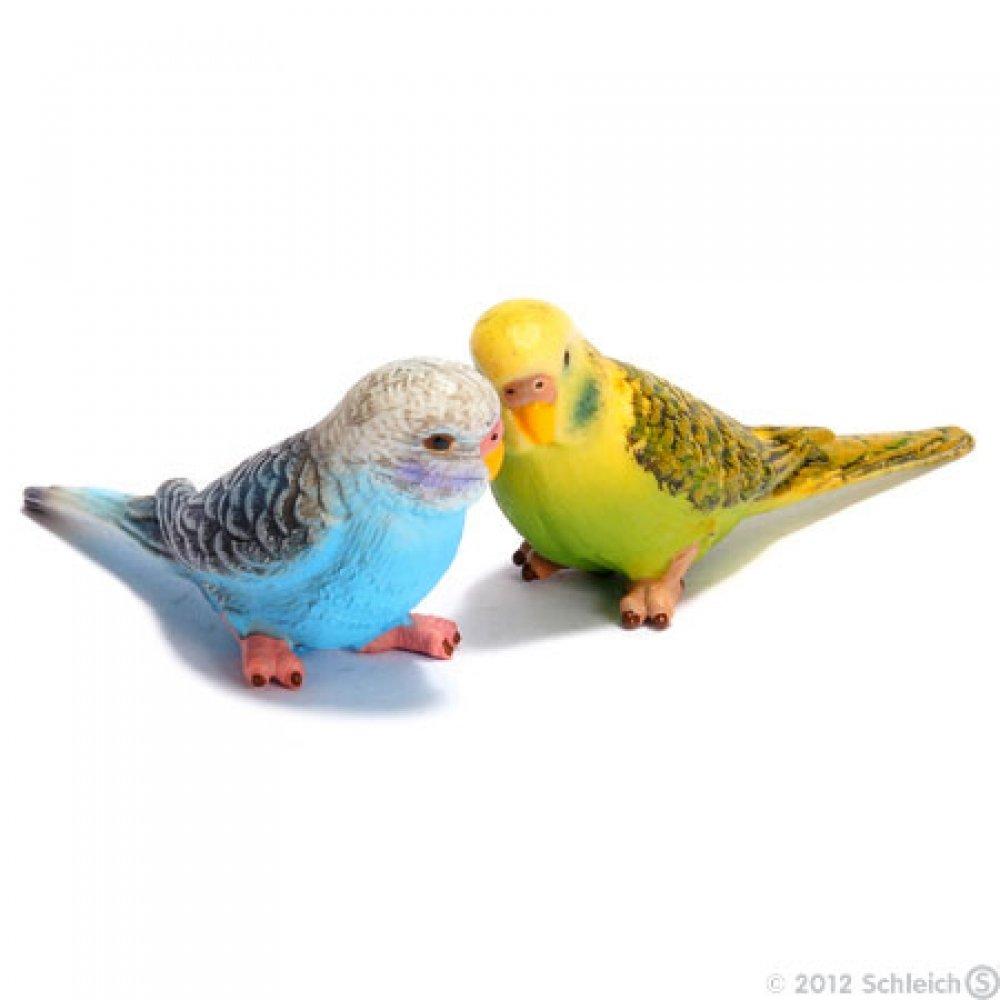 Schleich Farm World Budgerigar Figure 14408 (Green)