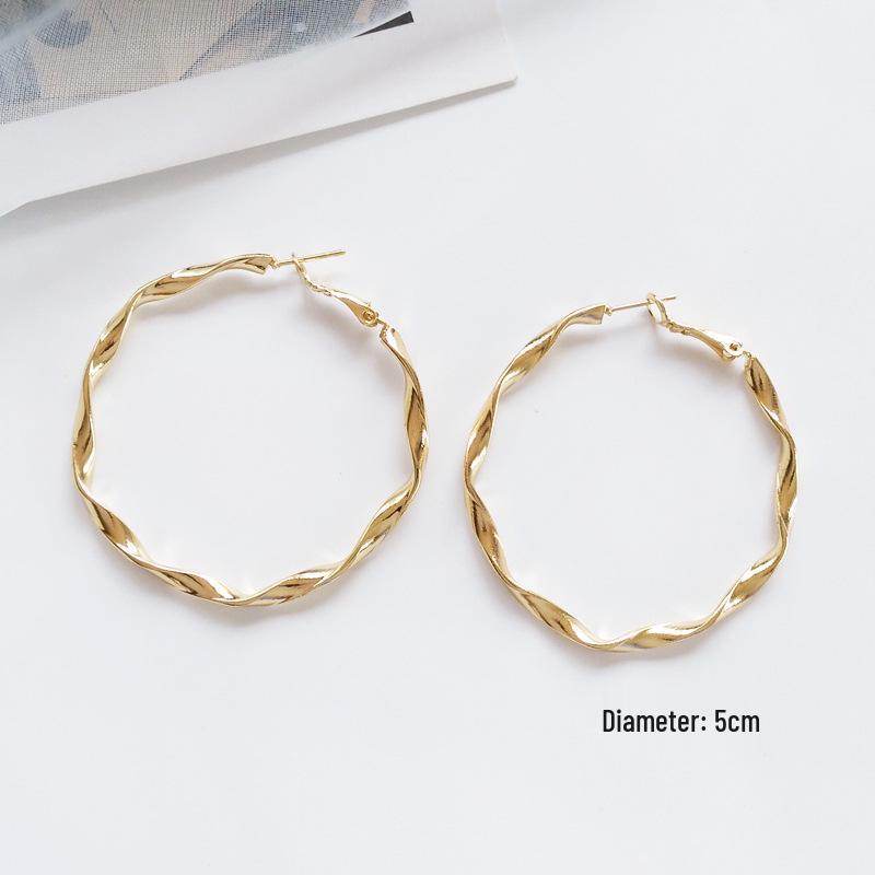 Braided Metal Hoop Earrings: Exaggerated European & American Fashion