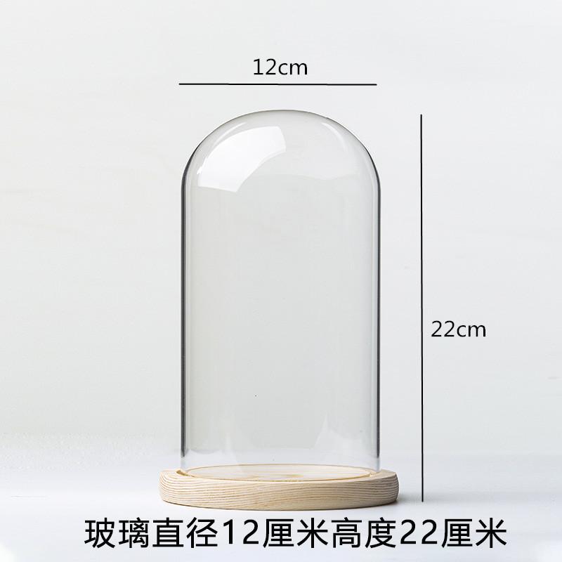 Ewige Blumen Ornamente Präsentationsschale Transparente Glasabdeckung Holzsockel Geschenk Präsentationsbox Kunsthandwerk Aufbewahrungsschale Staubschutz Kuchenform