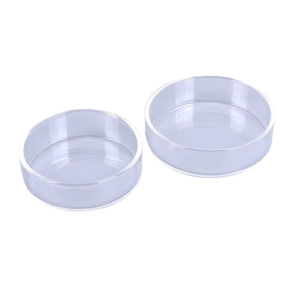 Glass Aquarium Feeding Bowl Durable Clear Round Tray Fish Feeder Tray Transparent Fish Tank Food Dispenser for Baby Fish Shrimp
