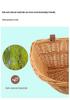 Rattan Bicycle Basket for Mountain Bikes and Pets – Multipurpose Cycling Accessory