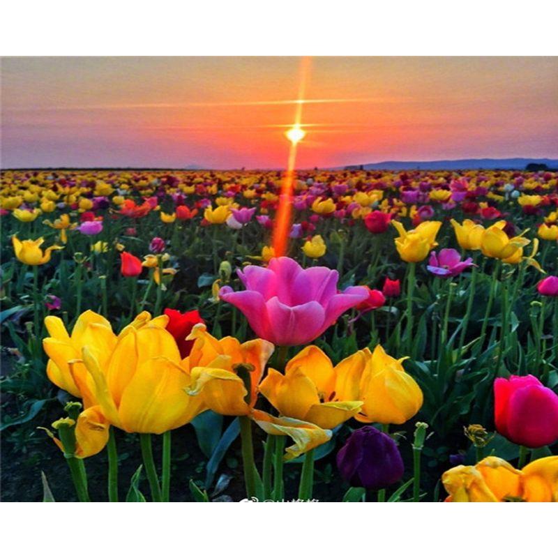 

Новое поступление алмазная живопись цветок алмазная живопись вышивка ремесло горный хрусталь мозаика подарочные украшения для дома Full Round 20x25CM