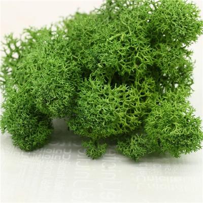 20g Yapay Çiçek Yosunu Çim Yapay Yeşil Bitki Ölümsüz Oturma Odası Dekoratif Duvar Kendin Yap Çiçek Aksesuarları