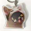 Fashion Greedy Cat Shaker Keyring Bag Charm Acrylic Pendant Keychains Car Keys Holder Handbag Decorations for Boys Girls