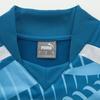 PUMA Striped Print Stand Collar Long Sleeve Soccer Jersey Men Tops Blue 772845-10