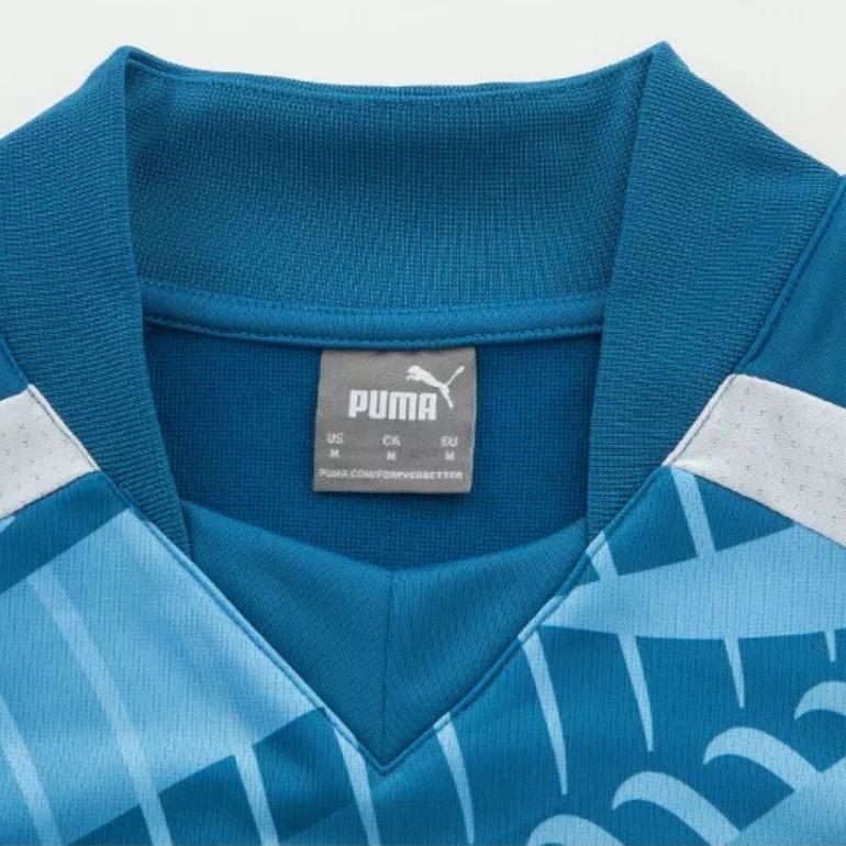 PUMA Striped Print Stand Collar Long Sleeve Soccer Jersey Men Tops Blue 772845-10