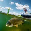 4Pcs High Buoyancy Catfishes Rattling Line Float Catfishes Float Rigs with Hook Fishing Bobbers EVA Foams Peg Float