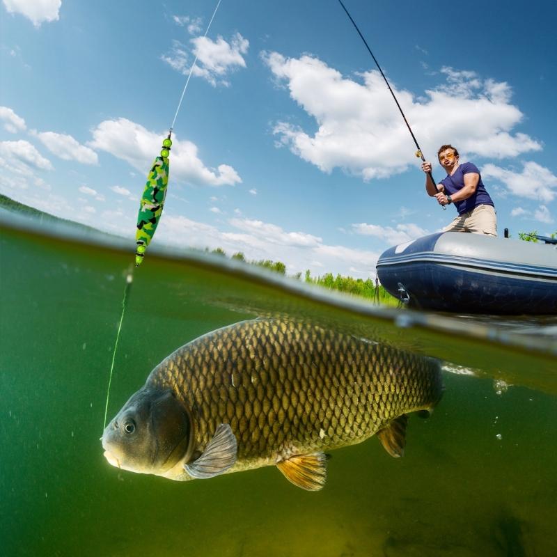 4Pcs High Buoyancy Catfishes Rattling Line Float Catfishes Float Rigs with Hook Fishing Bobbers EVA Foams Peg Float