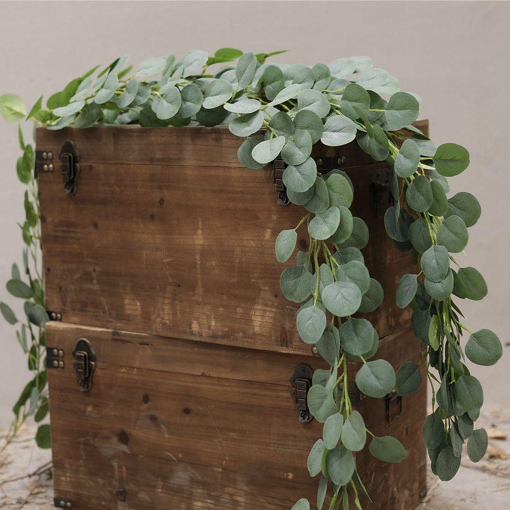 Cheap Plants Plants Wreath Eucalyptus Wreath Eucalyptus Garlands