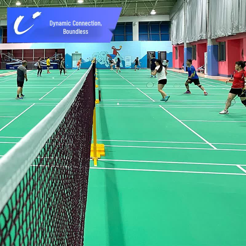 Badminton Net and Stand