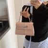 Portable Small Square Bag New Versatile Shoulder Bag Crossbody Bag