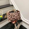 Today's Popular Leopard Print Large-capacity Bag Women's New Autumn Simple Messenger Bag Commuter Shoulder Tote Bag